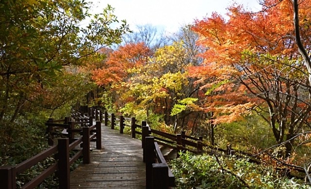 2025 제주도 단풍명소 TOP5|꼭 가봐야 할 곳들 관련 사진