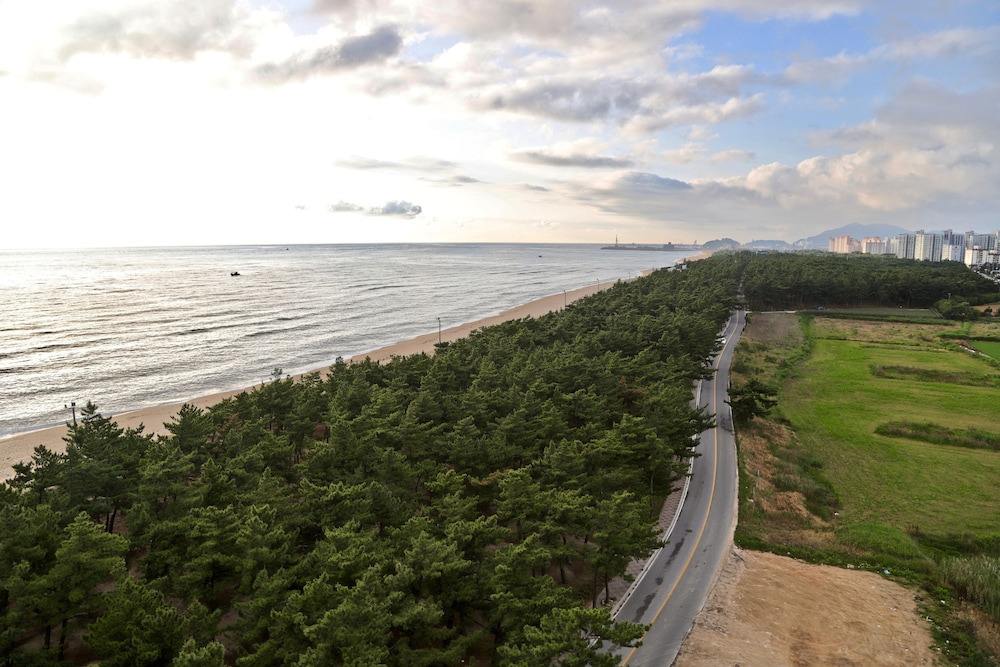 강릉 하운드 더 블루 호텔｜오션뷰·넷플릭스·카페까지, 할인 혜택으로 가성비 숙소 예약하기!
