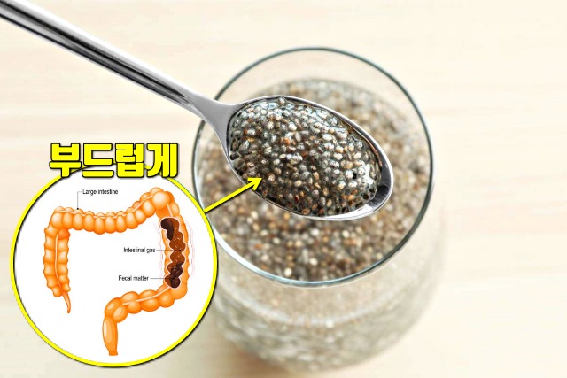 치아시드 효능, 변비 직빵, 변비에 좋은 음식 변비해결방법, 건강 팁줌 매일꿀정보