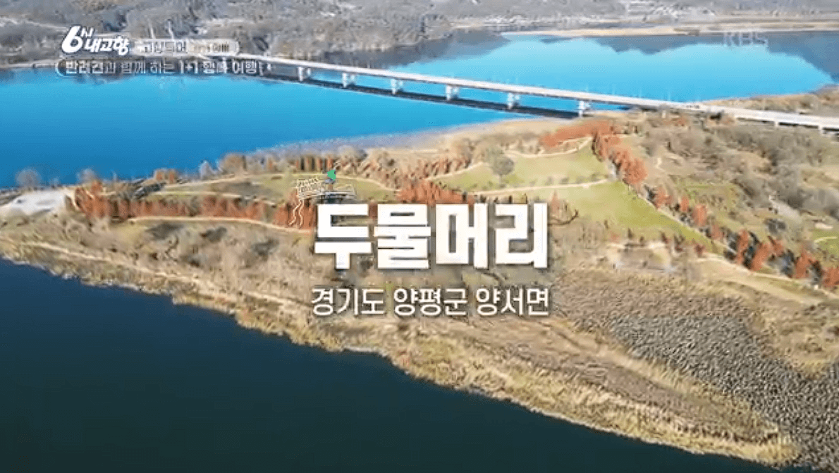 [6시내고향]경기 양평 애견동반 바베큐&middot;정원카페&middot;산악 액티비티 &amp;#39;바베큐레이브 더그림 엑스라이프&amp;#39; 예약 위치 연락처 정보