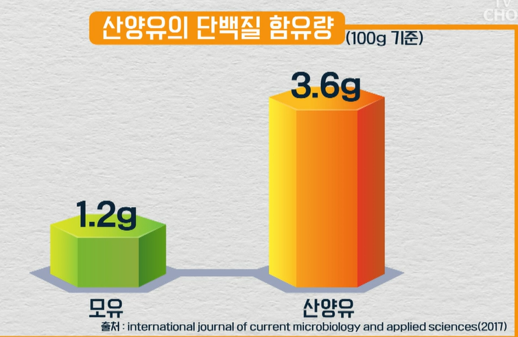 산양유단백질