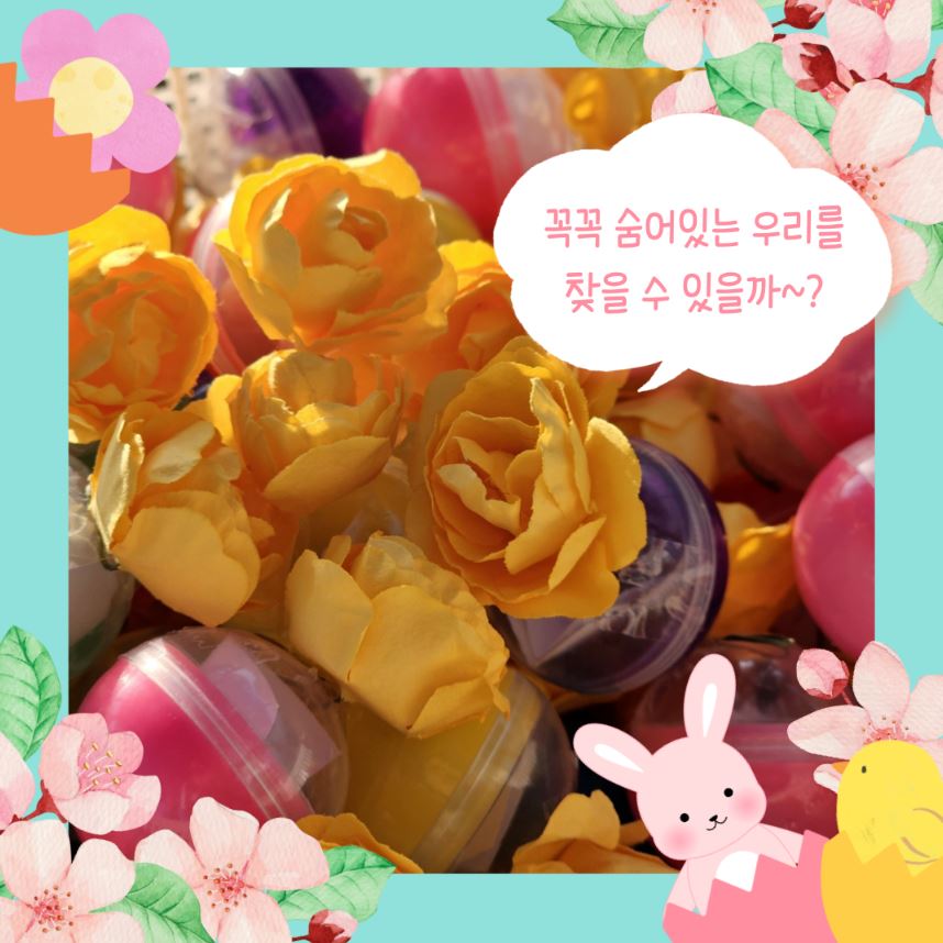 안동-벚꽃-축제