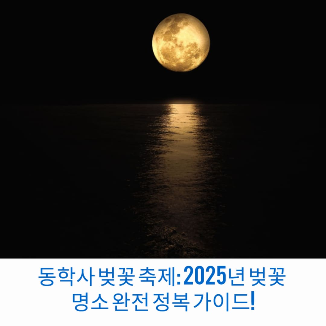 동학사-벚꽃-축제-2025년-벚꽃-명소-완전-정복-가이드-썸네일