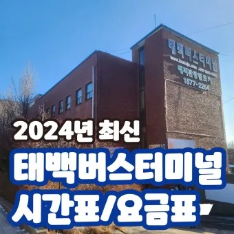 태백 고한 도계 시외버스 터미널 시간표 예매 요금_4