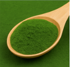 클로렐라 관련 사진