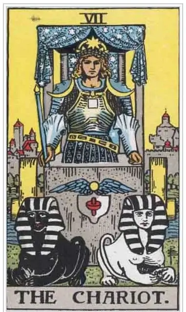 타로 카드 배우기