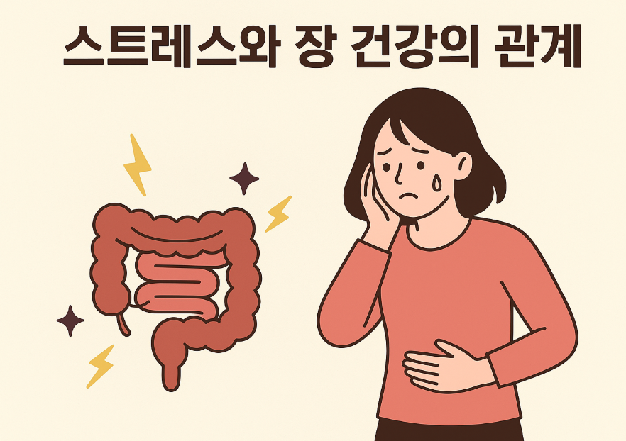 스트레스와 장 건강 관련 사진