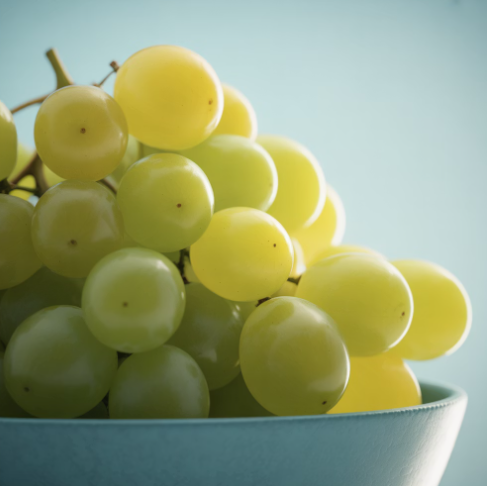 포도 효능