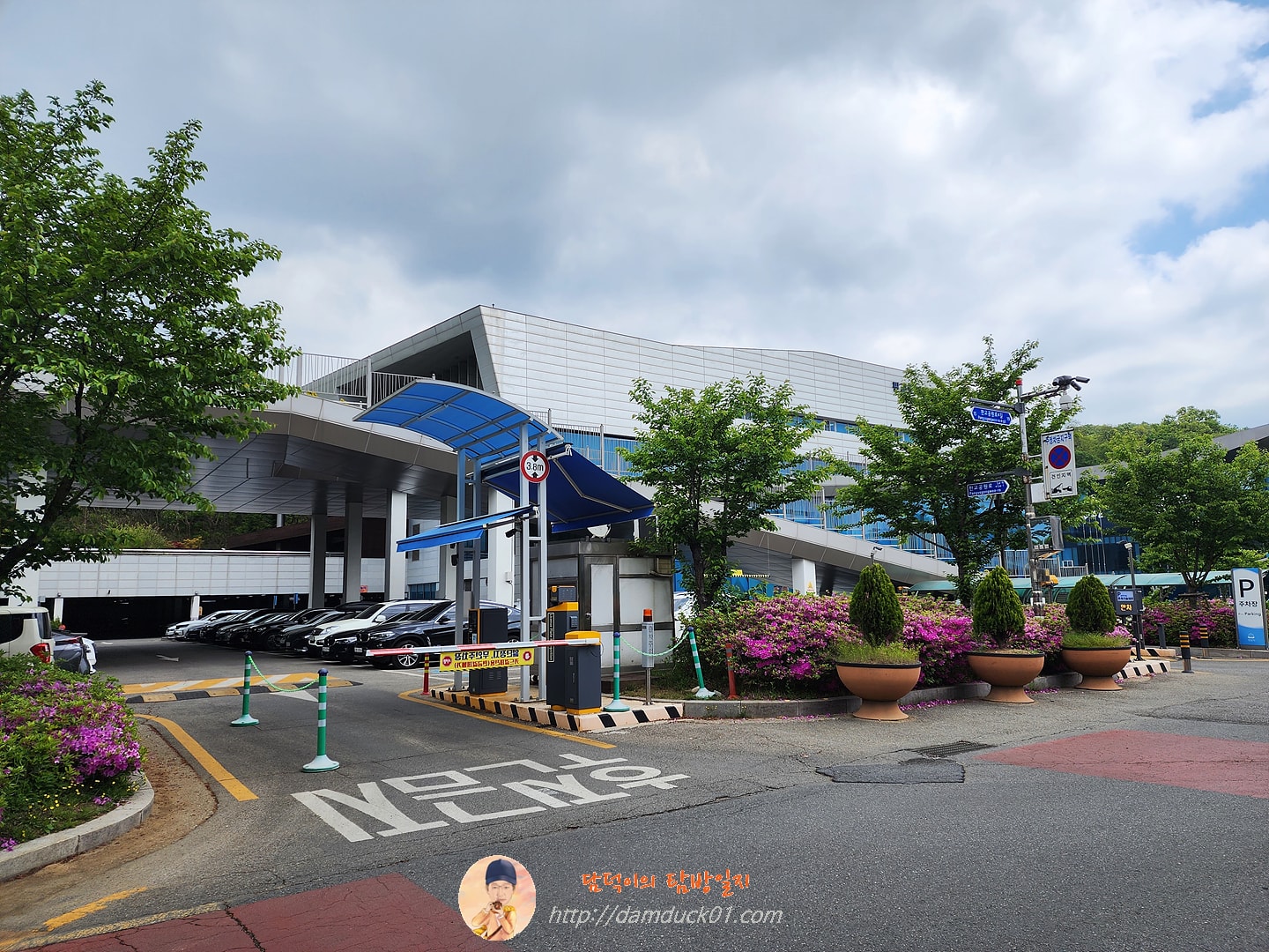 판교도서관