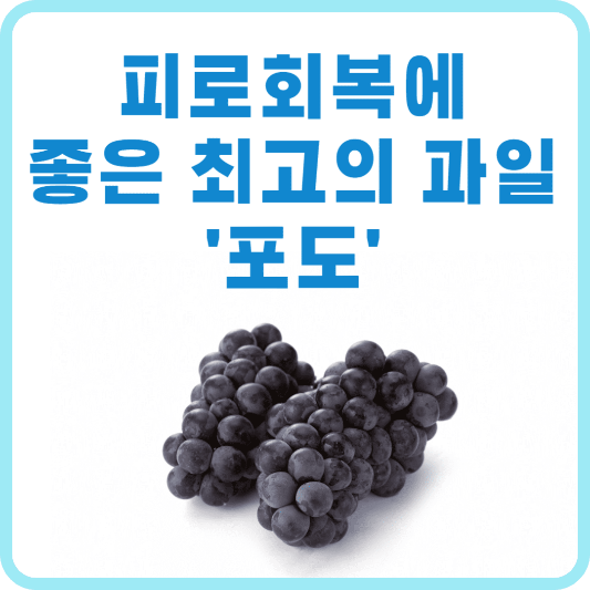 피로회복에 좋은 과일, 포도