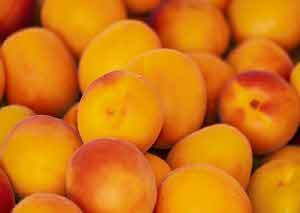 공복 혈당 낮추는 방법