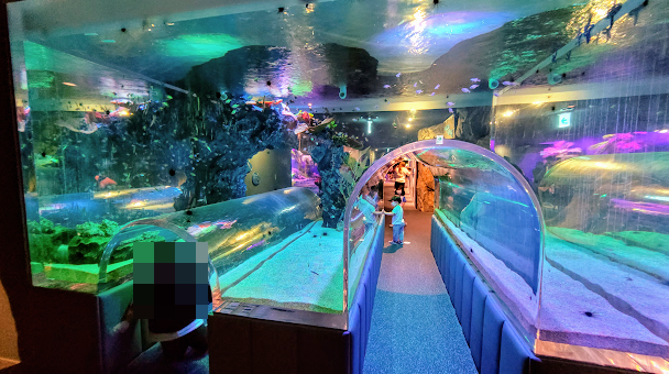 광교 아쿠아플라넷 다녀온 후기 사진 10