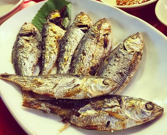 논현동 영동시장 꽃새우 '얼짱포차'