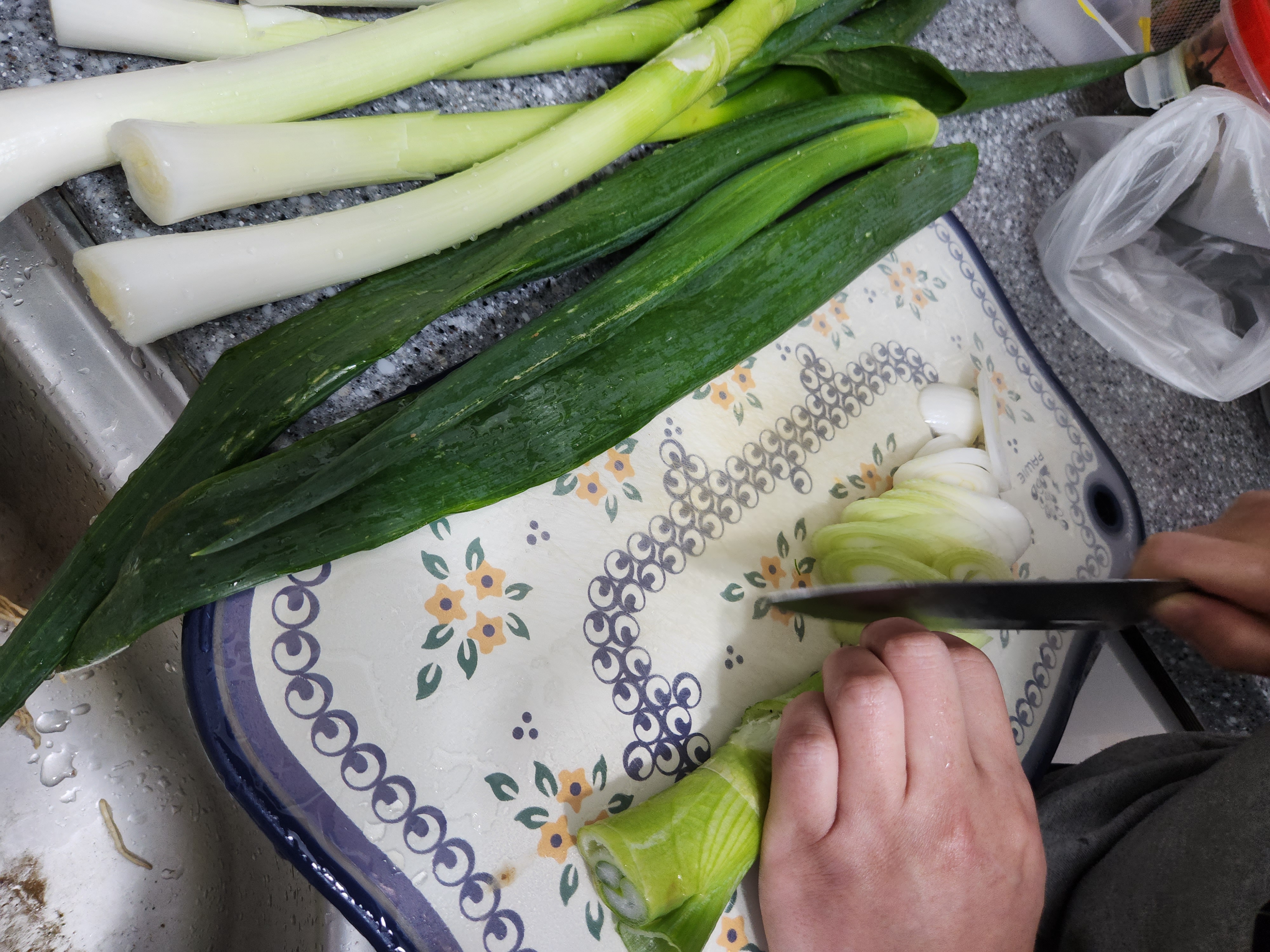 대파 보관법&amp;#44; 대파 효능에 대해 확실히 알려드릴게요. 냉동보관법