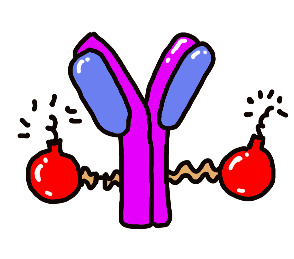 ADC 구조도