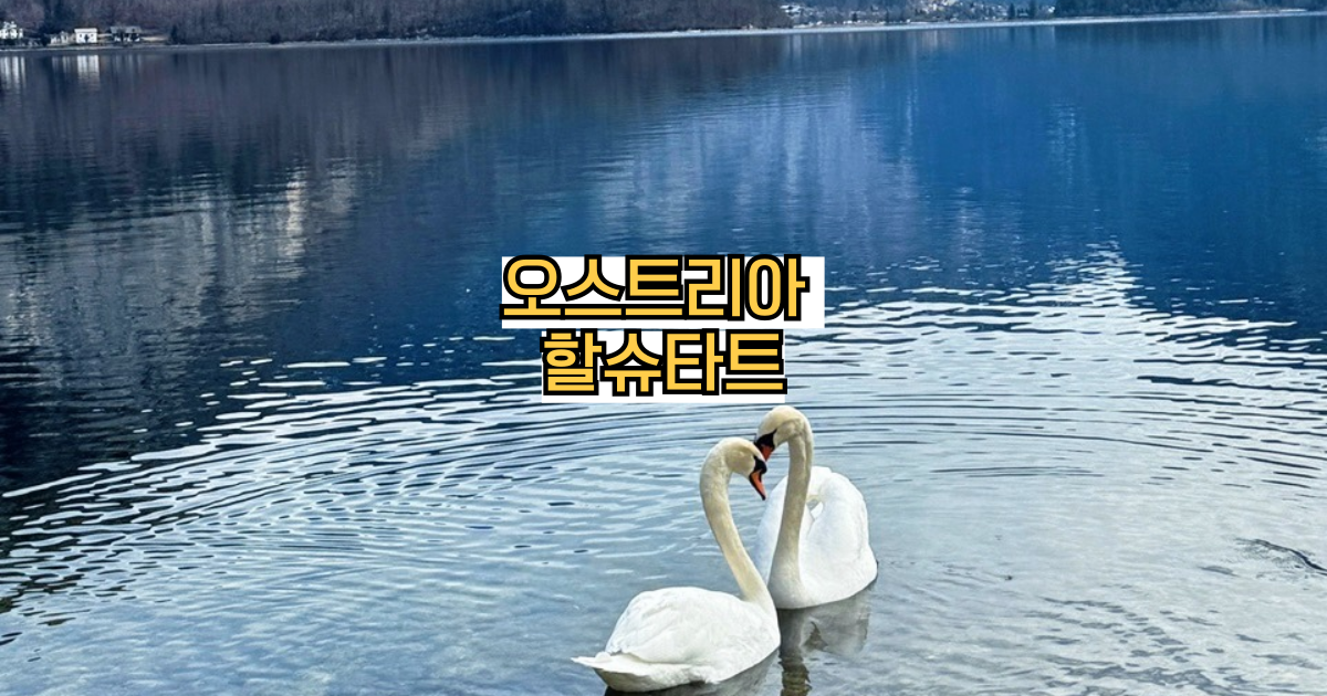 할슈타트백조
