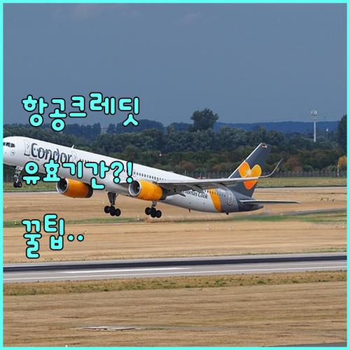 하와이안 항공 크레딧 유효기간과 사용..