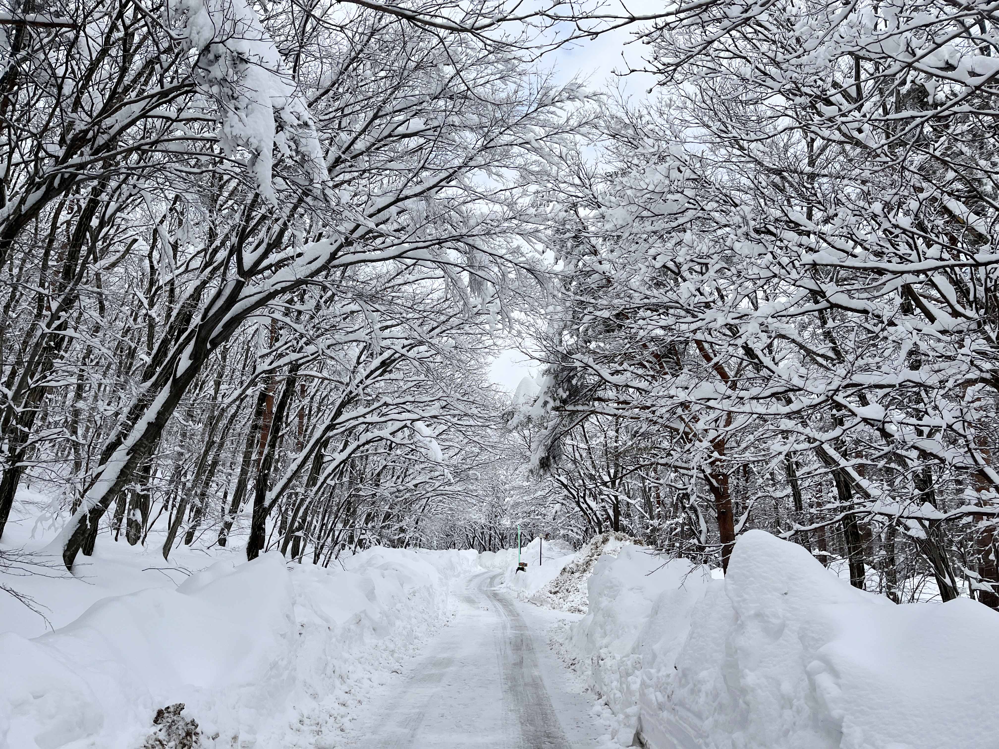 금강산 신선대 성인대