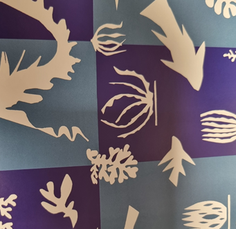 마티스 예술세계 (컬러, 감성, 혁신)