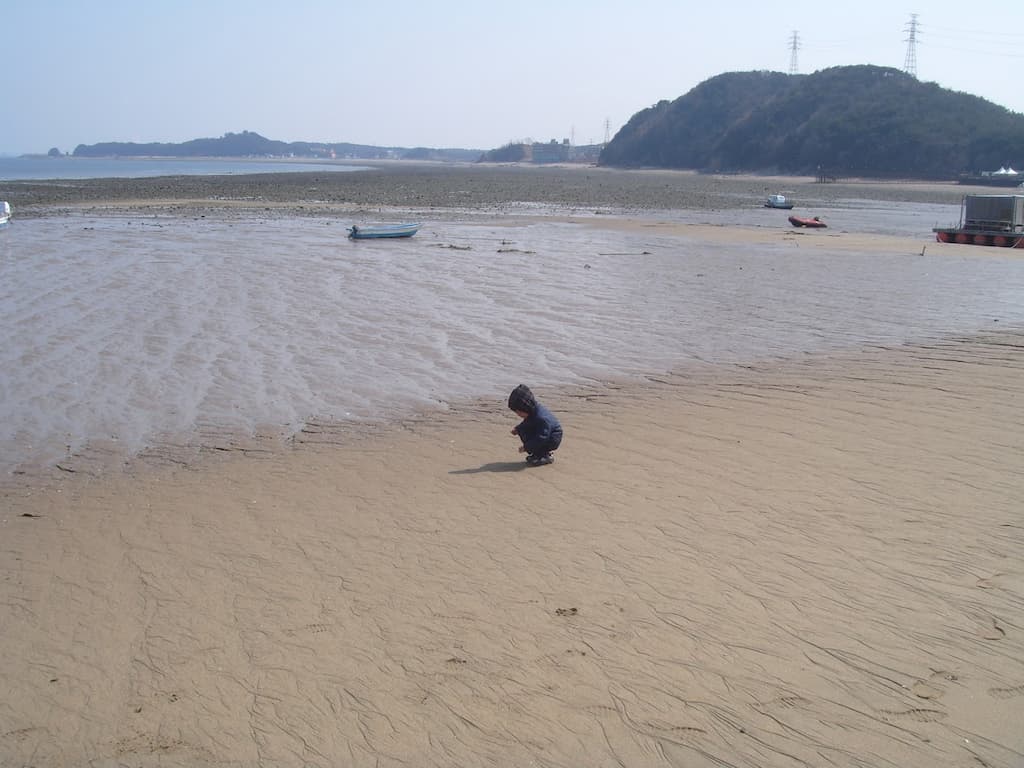 왜목마을 해변의 서해 바다 풍경