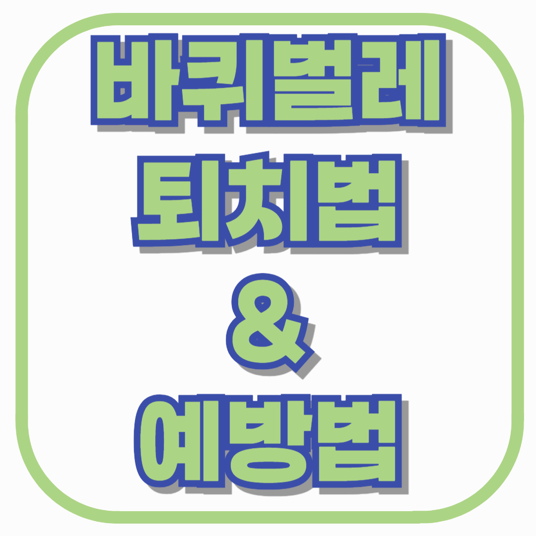 집에 바퀴벌레 나왔다면? 종류별 퇴치법과 절대 다시 안 나타나게 하는 예방법 총정리