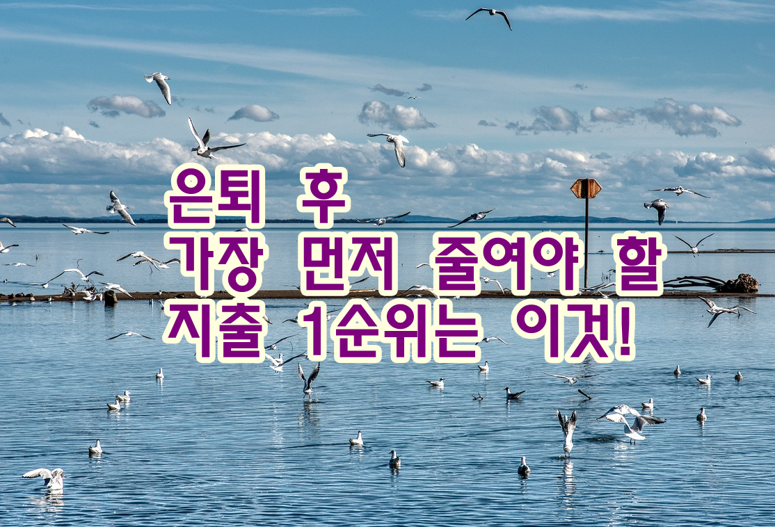 은퇴 후 가장 먼저 줄여야 할 지출 1순위는 이것!
