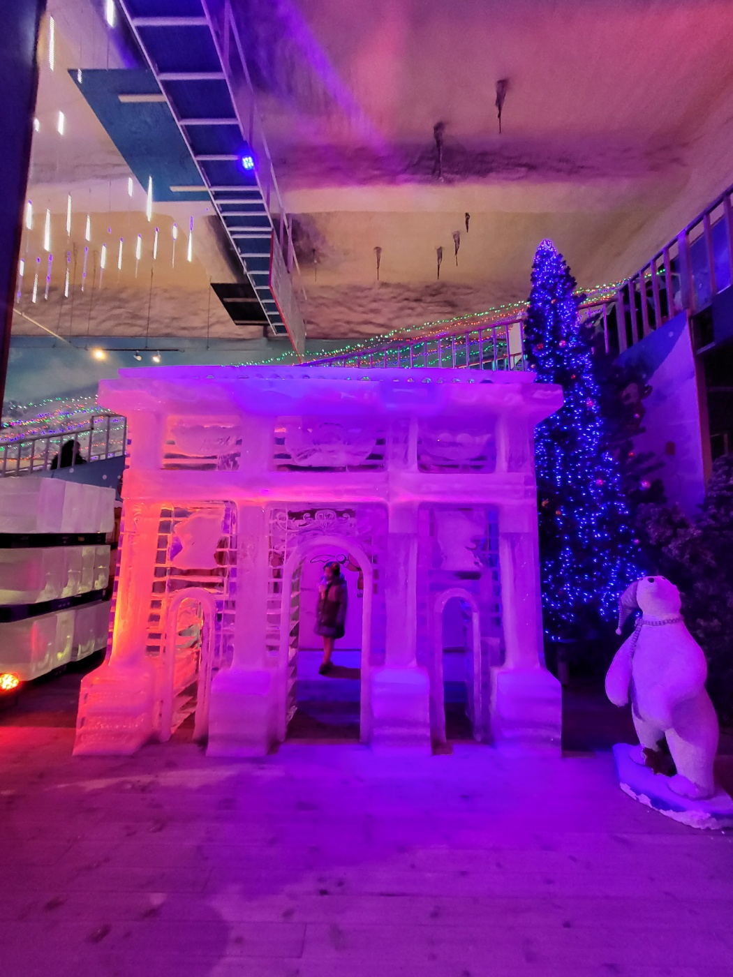 제주도 가볼 만한 곳 (수목원테마파크)