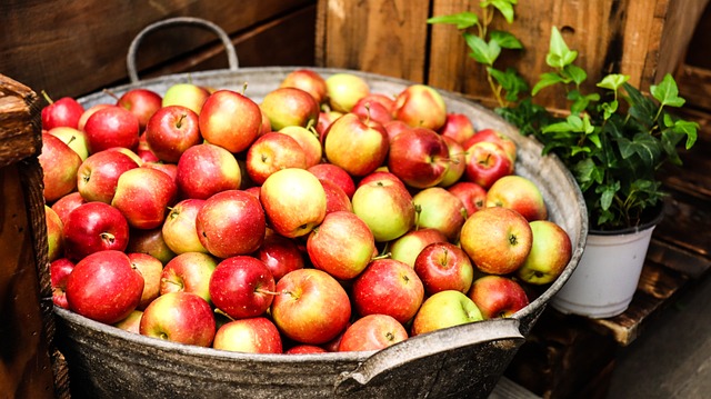 노화-심장병-암-예방-하는-보석-같은-과일