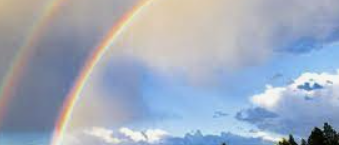 ISTP 유형 특징 분석