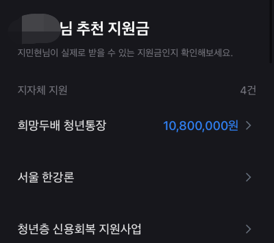 청년 정부지원금