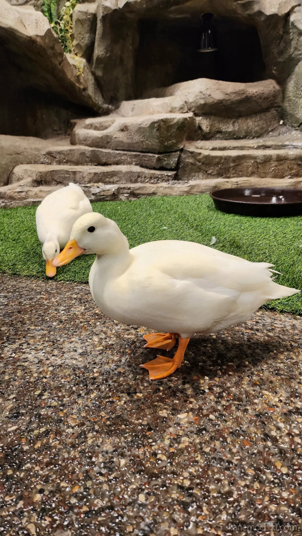 주렁주렁-하남점-오리