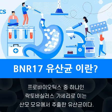 다이어트 BNR17 유산균