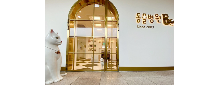 부천 소사구 동물병원