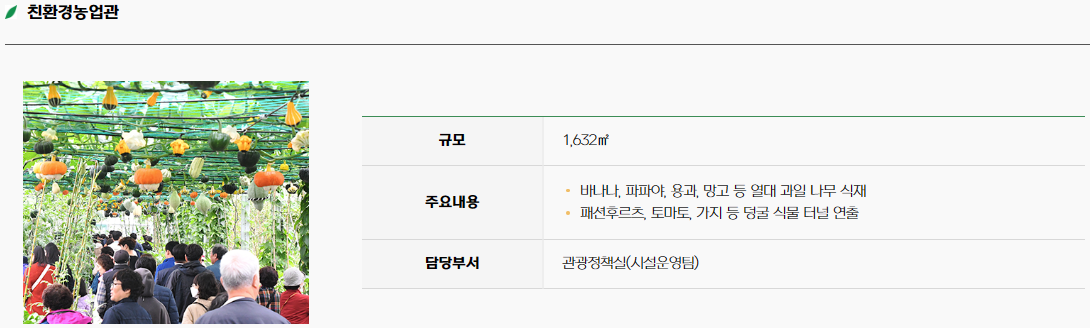 함평 나비 축제28