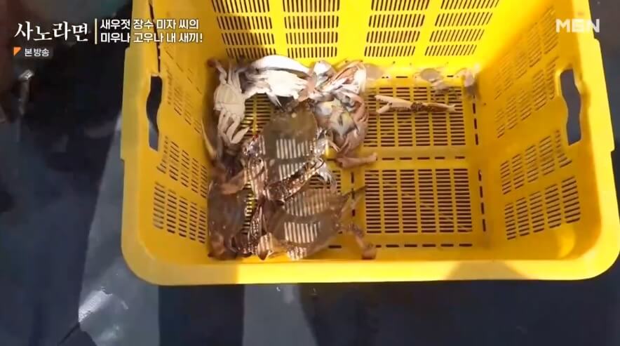 오늘N 수상한 가족 영광 설도항 새우젓 판매 신성호 주문방법