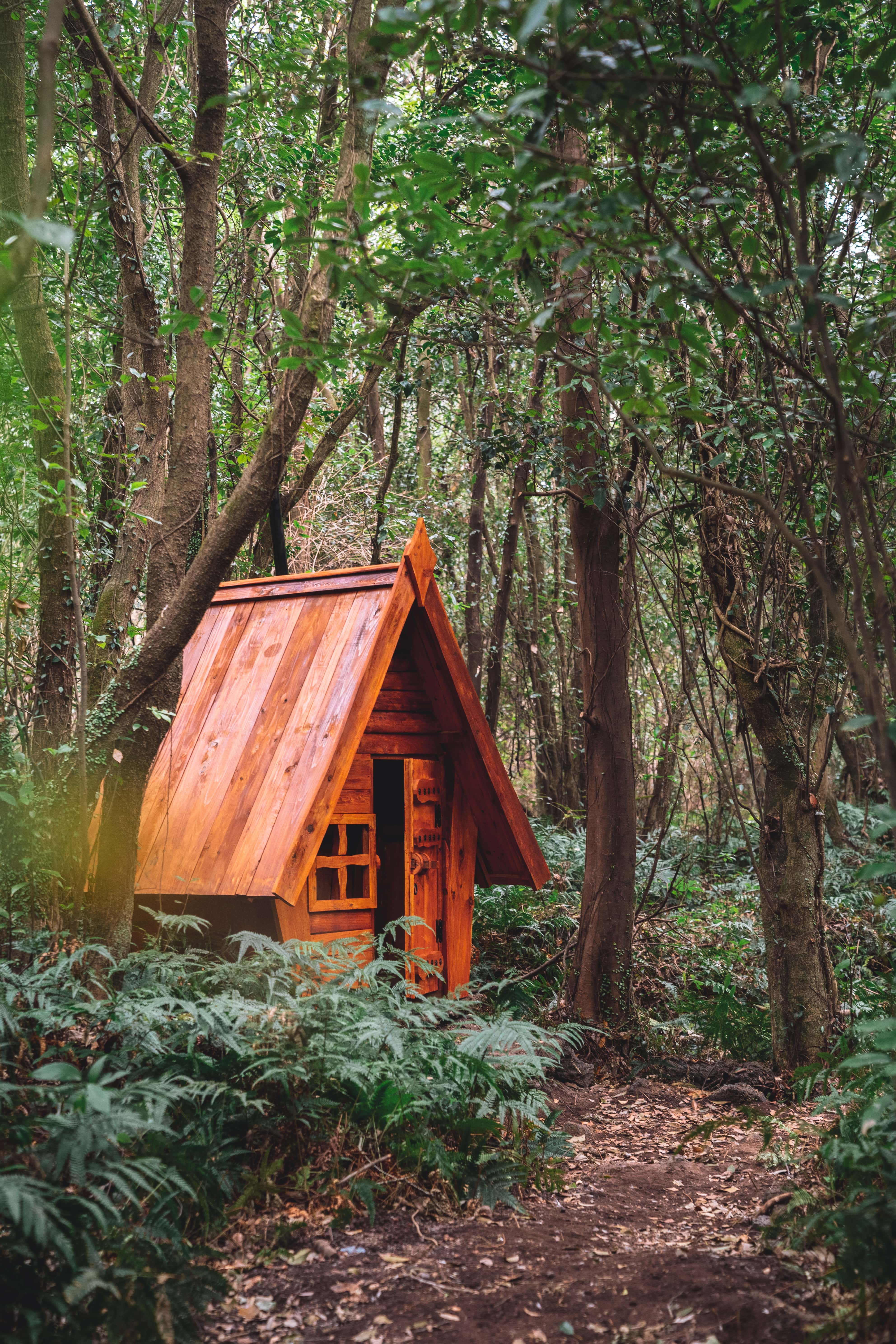 제주 산양곶자왈
