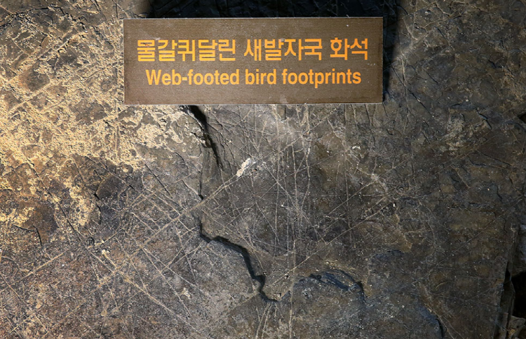 해남 공룡박물관