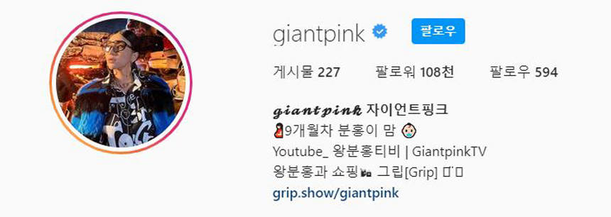 자이언트핑크인스타그램
