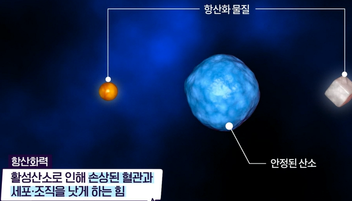 리포좀 비타민c 효능