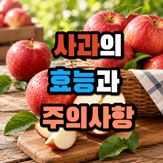 사과의 효능