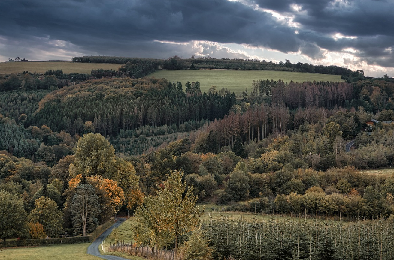 κ΅λ¦½μμ°ν΄μλ¦Ό μμ½