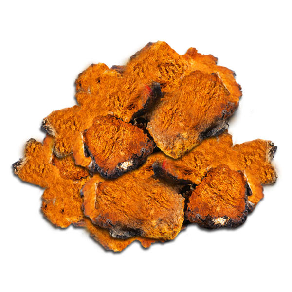 간수치 내리는 방법 최종