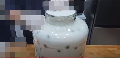 매실청 담그는법