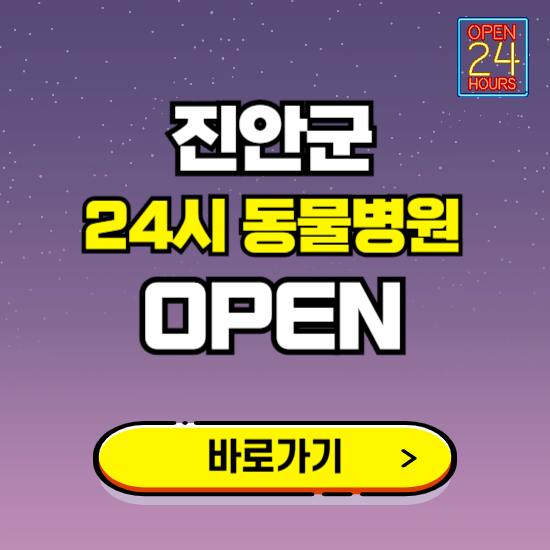 진안군 24시 동물병원 진료하는 곳 ❘ 설날 휴일 야간 심야 문여는곳 찾기 ❘ 응급진료