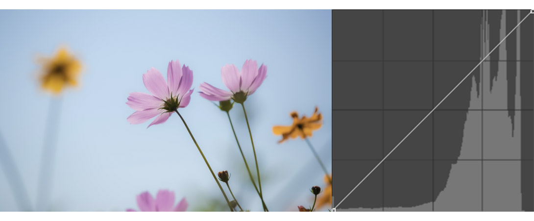 조절창의 초기 모습