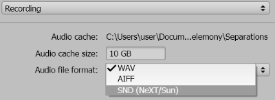 오디오 파일 형식