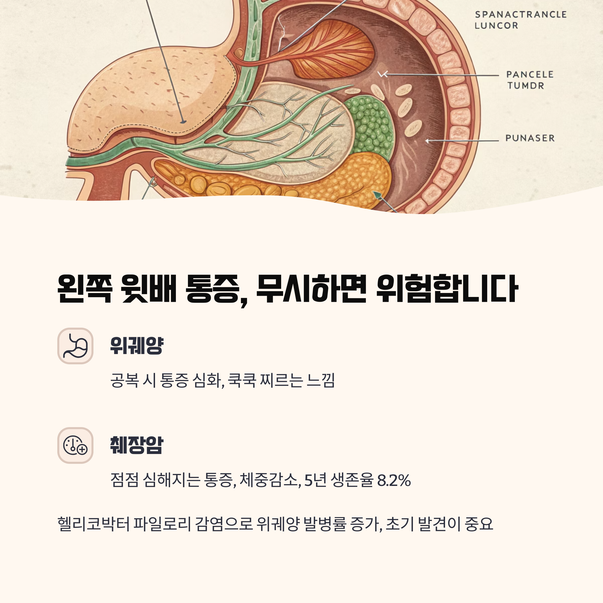 왼쪽 윗배 통증이 반복된다면? 위궤양 또는 췌장암 확인 필요