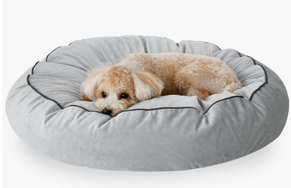 쁘리엘르 원스 극세사 강아지 방석