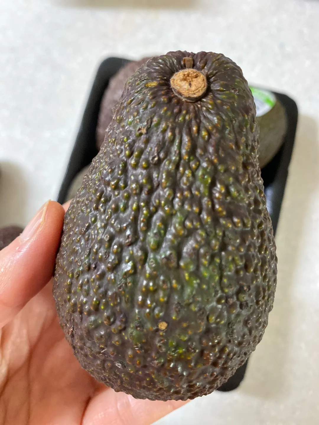 한개의-아보카도