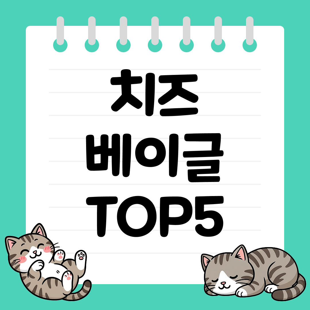 아침 식사에 좋은 치즈 베이글 추천 순위 TOP5